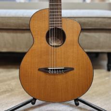 aNueNue aNN-N520AC(AUTUMN CEDAR)_2