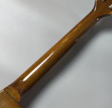 Heritage Core Collection H-150 -Artisan Aged Gold- #HC1230753  [4.08kg]_10