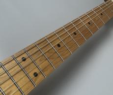 Bacchus BTE1-RSM/ M -Butterscotch Blonde-_5