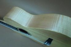 Taylor LTD EG Academy 12e-N Electric Gut Guitar / Solid Lutz Spruce Top・Layered  Maple Side and Back・Hard Rock Maple Neck・West Crelicam Ebony Fingerboard and Bridge・Pickup System ES-8【With Original Gig Case】_4