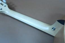 Taylor LTD EG Academy 12e-N Electric Gut Guitar / Solid Lutz Spruce Top・Layered  Maple Side and Back・Hard Rock Maple Neck・West Crelicam Ebony Fingerboard and Bridge・Pickup System ES-8【With Original Gig Case】_10