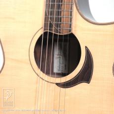 Yokoyama Guitars SSJF-GC_12