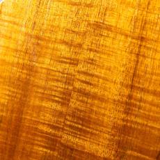 G String C1 Sun Concert_10