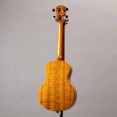 G String C1 Sun Concert_12