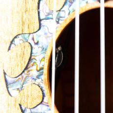 G String C1 Sun Concert_15