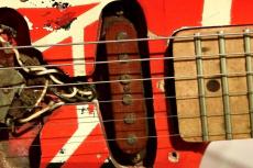 EVH Frankenstrat/Frankenstein Phenolic Pickup Top/ピックアップトップ/フランケン/新品/全国一律送料無料