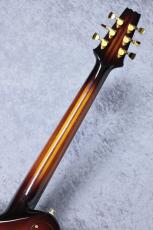 Aria Pro II 【特選中古セール】PE-R100 -SmokyAmber- 【2017'sUSED】_6