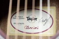 Taylor 【アウトレット / NAMM 発表モデル 限定カラー】GS Mini-e Sunset Fade_10