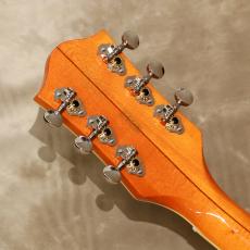 Gretsch G6120T-59 VS Vintage Select Edition '59 Chet Atkins_5