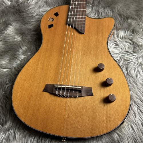 Cordoba Stage Traditional Ceder エレガット 【現物画像】【最大36回分割無金利 実施中】