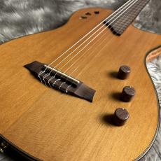 Cordoba Stage Traditional Ceder エレガット 【現物画像】【最大36回分割無金利 実施中】_3