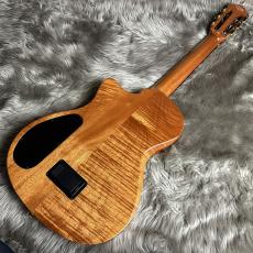 Cordoba Stage Traditional Ceder エレガット 【現物画像】【最大36回分割無金利 実施中】_6