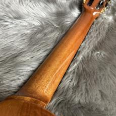 Cordoba Stage Traditional Ceder エレガット 【現物画像】【最大36回分割無金利 実施中】_10