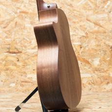 Taylor 50th Anniversary AD14ce SB LTD_5