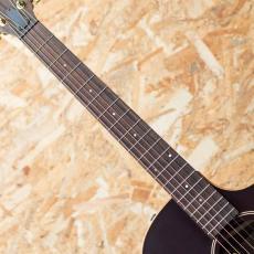 Taylor 50th Anniversary AD14ce SB LTD_6