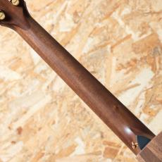 Taylor 50th Anniversary AD14ce SB LTD_7