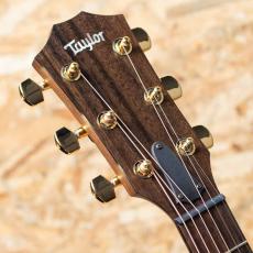 Taylor 50th Anniversary AD14ce SB LTD_8