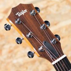 Taylor 24ce_4
