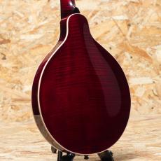 Quint QT-A4 Black Top_2