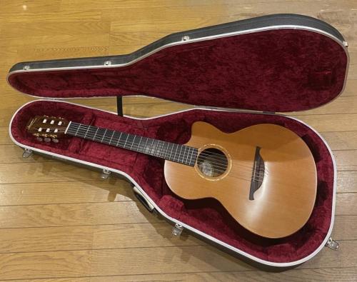 Lowden S25J Nylon Strings