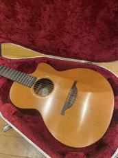 Lowden S25J Nylon Strings_2