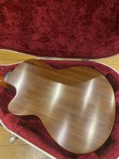 Lowden S25J Nylon Strings_3