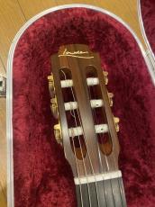 Lowden S25J Nylon Strings_4
