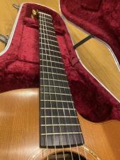 Lowden S25J Nylon Strings_5