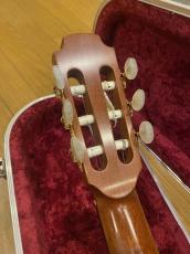 Lowden S25J Nylon Strings_6