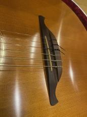 Lowden S25J Nylon Strings_7