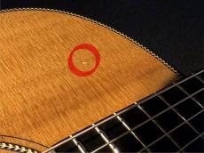 Breedlove 【2025 お茶の水大楽器祭 目玉品】【USED】 Oregon Concert CE Sitka Spruce ? Myrtlewood 【G-CLUB TOKYO】_9