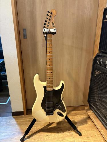 ESP ESP CRAFT HOUSE 渋谷 EMG/FR搭載ストラトシェイプギター