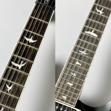 Paul Reed Smith [PRS] SE Custom 24 Quilt Package-Black Gold Sunburst - #CTI F108603 【3.80kg】_4