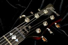 Framus Team Built PantheraII Supreme_3