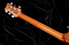 Framus Team Built PantheraII Supreme_5