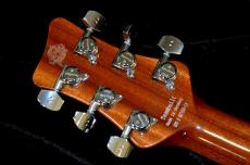 Framus Team Built PantheraII Supreme_6