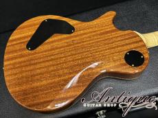 Paul Reed Smith [PRS] Wood Library P245 Singlecut LTD-2015 /Killer Figured-Neck & Honduras Rosewood FB /Paua Abalone Inlay w/Piezo "Private Stock Grade"_5