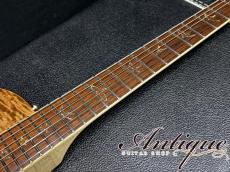 Paul Reed Smith [PRS] Wood Library P245 Singlecut LTD-2015 /Killer Figured-Neck & Honduras Rosewood FB /Paua Abalone Inlay w/Piezo "Private Stock Grade"_8