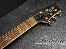 Paul Reed Smith [PRS] Wood Library P245 Singlecut LTD-2015 /Killer Figured-Neck & Honduras Rosewood FB /Paua Abalone Inlay w/Piezo "Private Stock Grade"_10