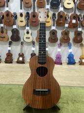 KoAloha KCM-10　UPT_2