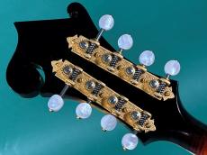 TOM.H.ELLIS F-5 SPECIAL FARN_6