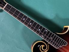 TOM.H.ELLIS F-5 SPECIAL FARN_7