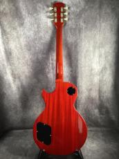 Tokai LS120 Reborn OLD _5