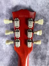 Tokai LS120 Reborn OLD _6