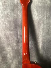 Tokai LS120 Reborn OLD _7