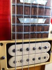 Tokai LS120 Reborn OLD _8