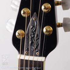 Ovation N619-5 Custom Legend_13