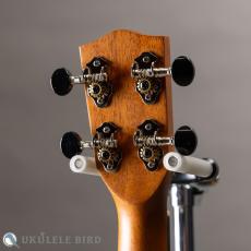 Pono AC Concert Acacia_7