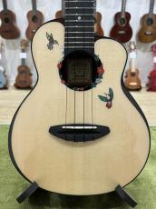 aNueNue UC200HB Humming Bird Concert