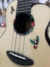 aNueNue UC200HB Humming Bird Concert_4